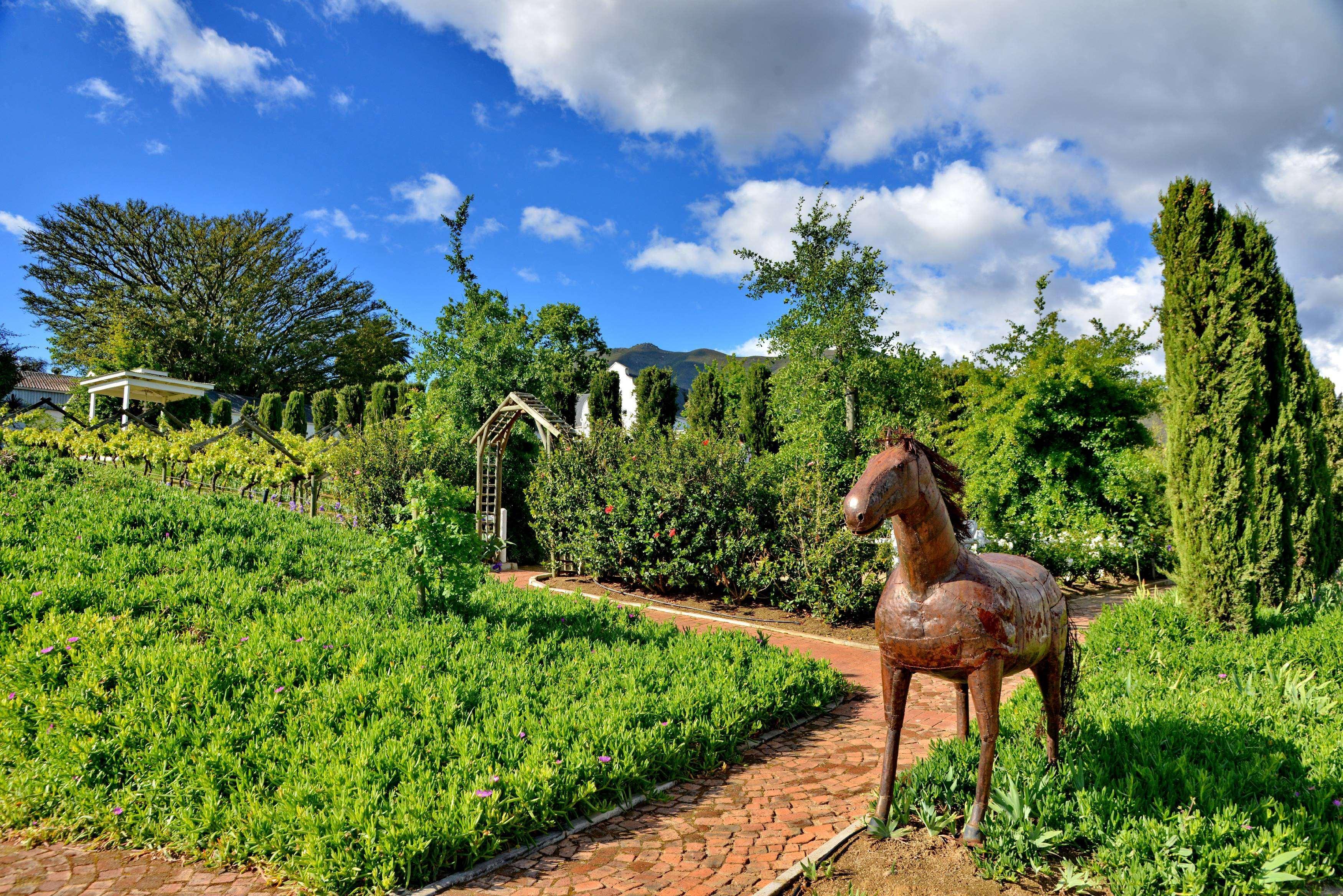 Hotel Val Du Charron Wine & Leisure Estate Wellington Esterno foto