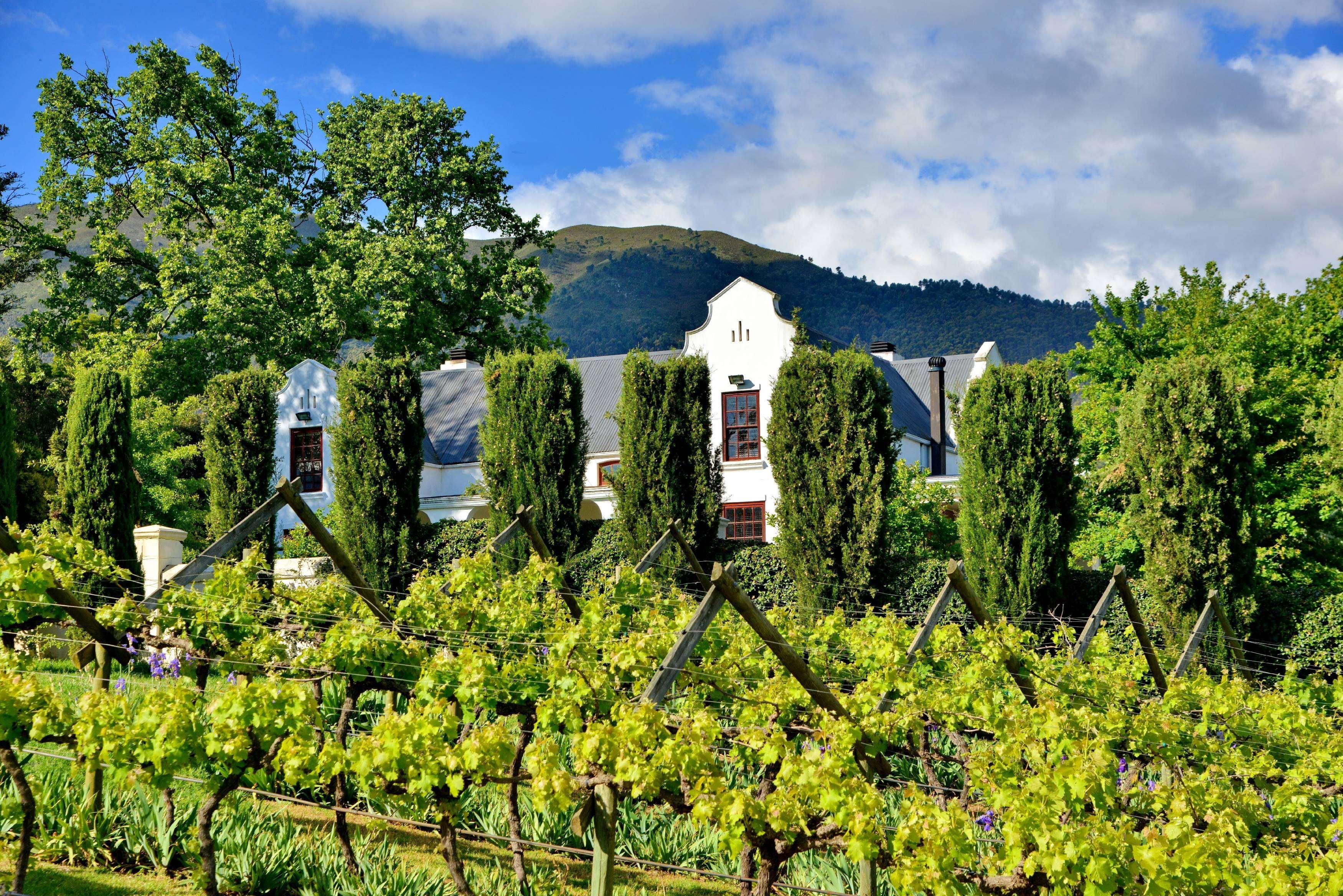 Hotel Val Du Charron Wine & Leisure Estate Wellington Esterno foto